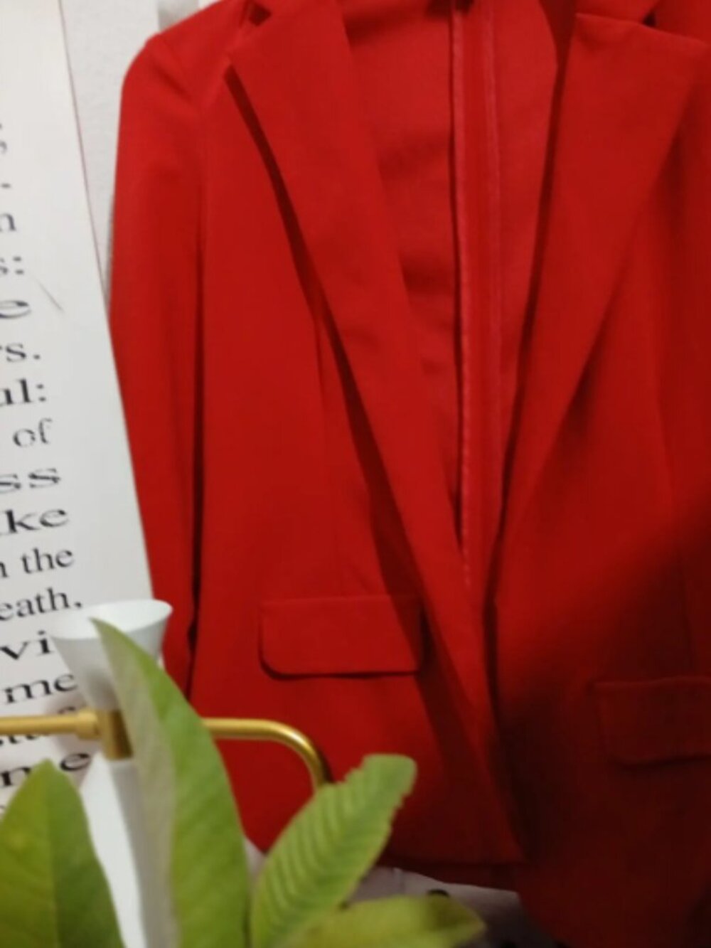 Red Blazer - Picture 4 of 6